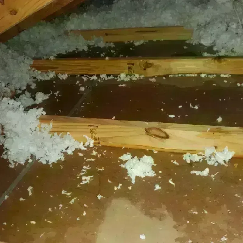 Attic Water Damage in Crawford County, IA